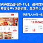 （16557期）拼多多稳定盈利课-11月，强付费SOP+微付费高投产+活动矩阵，单店月入10w+