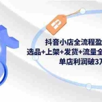 （16593期）抖音小店全流程盈利课：选品+上架+发货+流量全环节拆解，单店利润破3万