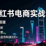 （16615期）小红书电商实战课，账号搭建，选品测款，流量运营，实操月利润3万+