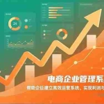 （16643期）电商企业管理系统构建课：帮助企业建立高效运营系统，实现利润与规模的同步跃升