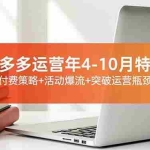 （16642期）2025拼多多运营年4-10月特训营：暴力起店+强付费策略+活动爆流+突破运营瓶颈，干货拉满