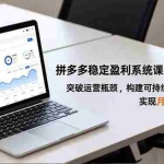 （16641期）拼多多稳定盈利系统课(更新11月)，突破运营瓶颈，构建可持续的盈利模型，实现月均利润5万+