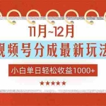 （16639期）11月~12月视频号分成最新玩法，小白单日轻松收益1000+