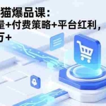 （16631期）淘宝天猫爆品课：免费流量+付费策略+平台红利，月入3万+