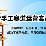 （16667期）抖音手工赛道运营实战课，流量思维、标签机制、垂直定位，解决不起号难题，单月变现破3万