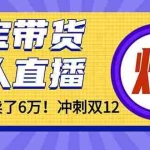 （16665）年前风口！淘宝带货，无人直播160小时卖了6万！