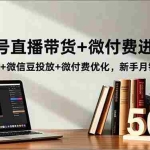 （16684期）视频号直播带货+微付费进阶课：流量逻辑+微信豆投放+微付费优化，新手月销破50万