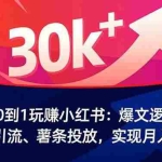 （16725期）从0到1玩赚小红书：爆文逻辑、安全引流、薯条投放，实现月入3万+