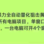 （16737期）电脑EA策略挂机项目单窗口收益20-30u，单电脑可挂5-10个窗口收益稳健4位数
