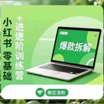 （16801期）小红书零基础+高阶训练营：安全养号、爆款拆解、长效运营，实现稳定涨粉与变现