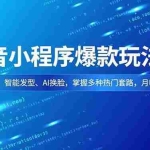 （16799期）抖音小程序爆款玩法课，萌娃漫画、智能发型、AI换脸，掌握多种热门套路，月收入1.5w