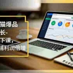 （16824期）淘宝天猫爆品利润增长-11月线下课，免费流量、付费放大、费比管控，实现店铺利润倍增