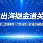 （16820期）Tk出海掘金通关课，小店运营、直播带货、广告投流，打通全链路盈利闭环
