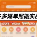 （16838期）拼多多爆单照搬实战课，类目玩法、活动选择、避坑指南，新手小白快速出单赚钱