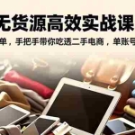 （16875期）闲鱼无货源高效实战课：从起号到爆单，手把手带你吃透二手电商，单账号月利润破万