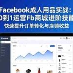 （16864期）Facebook成人用品实战：从0到1运营Fb商城进阶技能，快速提升订单转化与店铺收益