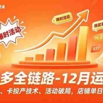 （16884期）拼多多全链路-12月运营课，爆款打造、卡投产技术、活动破局，店铺单日利润破万