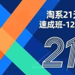 （16903期）淘系21天运营速成班-12月更新，能够快速复制落地，系统掌握淘系盈利运营的核心技能