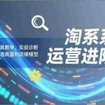 （16927期）淘系系统运营进阶课2.0，流程规范、工具教学、实战诊断，进阶突破，打造高盈利店铺模型