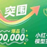 （16922期）小红书爆品模型实战营，从新品突围到成为类目TOP，可复制路径，打造多个营收百万级爆品