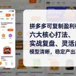 （16952期）拼多多可复制盈利模型课，六大核心打法、实战复盘、灵活应用，模型清晰，稳定产出高利润