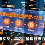 （16974期）淘宝运营实战进阶营-12月：SEO搜索、万相台爆款、数据诊断，系统实战，单店月销售额破百万