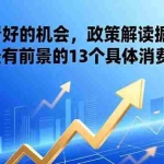 （17003期）某付费文章：国家看好的机会，政策解读掘金课，未来最有前景的13个具体消费赛道