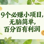（16999期）9个必赚小项目，无脑简单，百分百有利润，副业首选，日入300+