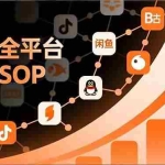 （16994期）私域全平台引流SOP，抖音/快手/小红书/微信/QQ/B站/闲鱼等，技术合集，高效转化公域流量