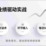（16988期）私域业绩驱动实战，成交话术、环节植入、每日SOP，聚焦增长，驱动营收持续突破