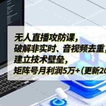 （17012期）无人直播攻防课，破解非实时、音视频去重，建立技术壁垒，矩阵号月利润5万+（更新2026）