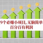 （17024期）10个必赚小项目，无脑简单，百分百有利润，副业首选，日入100+