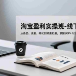 （17079期）淘宝盈利实操班-线下课12月，从选品、流量、转化到渠道拓展，掌握SOP+12门技术（音频+字幕）