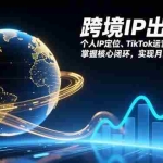 （17066期）跨境IP出海课，个人IP定位、TikTok运营、市场选品，掌握核心闭环，实现月入1万美金+