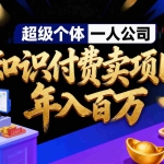 （17093期）2026年“超级个体一人公司”私域卖项目年入百万，个人IP-精准引流-项目包装-转化成交