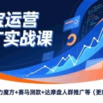 （17200期）淘宝运营推广实战课，直通车+引力魔方+赛马测款+达摩盘人群推广等（更新26年1月）