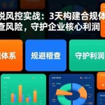 （17197期）电商财税风控实战：3天构建合规体系，规避稽查风险，守护企业核心利润