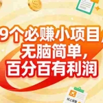 （17241期）9个必赚小项目，无脑简单，百分百有利润，副业首选，日入200+