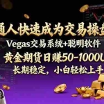 （17178期）普通人快速成为交易操盘手 Vegas交易系统+聪明软件 ， 黄金期货日赚50-1000U， 长期稳定，小…