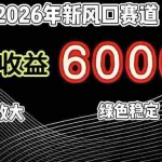 （17135期）2026年新风口赛道，当日6000+以上，可批量放大，月收入20万+，长期绿色稳定的项目