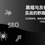 （17125期）黑帽与灰帽SEO实战的野路子教程：泛目录秒收，蜘蛛池搭桥，霸屏截流，7天抢占首页暴利词