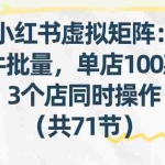 （17271期）小红书虚拟矩阵：软件批量发笔记，单店100款，3个店同时操作（共71节）