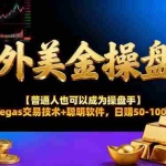 （17253期）AI美金操盘手技术【普通人也可以成为操盘手】Vegas交易技术+聪明软件，日赚50-100U