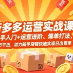 （17342期）拼多多运营实战课，新手入门+运营进阶、爆单打法，16节干货，助力新手店铺快速实现日出百单