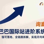 （17335期）阿里巴巴国际站进阶系统培训，实战干货、强可落地、全链路拆解，实现月均询盘量翻倍