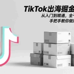 （17368期）TikTok出海掘金实战课：从入门到精通，全干货实操讲解，手把手教你做好TK跨境电商