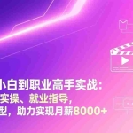 （17360期）剪辑师小白到职业高手实战：四大项目实操、就业指导，零基础转型，助力实现月薪8000+
