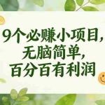 （17442期）9个必赚小项目，无脑简单，百分百是有利润，副业首选，日入300+
