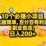 （17474期）10个必赚小项目，无脑简单，百分百有利润，副业首选，日入200+