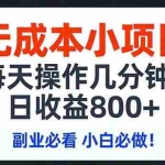 （17447期）无成本小项目,每天操作几分钟,日收益800+ 副业必看 小白必做！